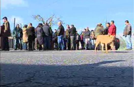 Lobos atacam em Pinhel