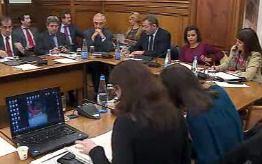 Nuno Crato na Comissão Parlamentar de Educação, Ciência e Cultura