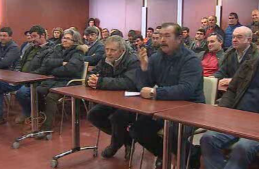 Lobos atacam gado em Pinhel