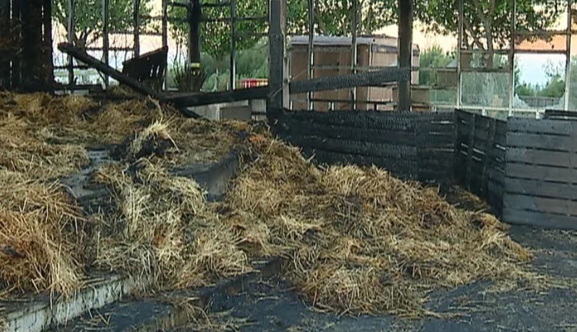 Incêndio no presépio vivo