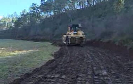 Preservação da floresta