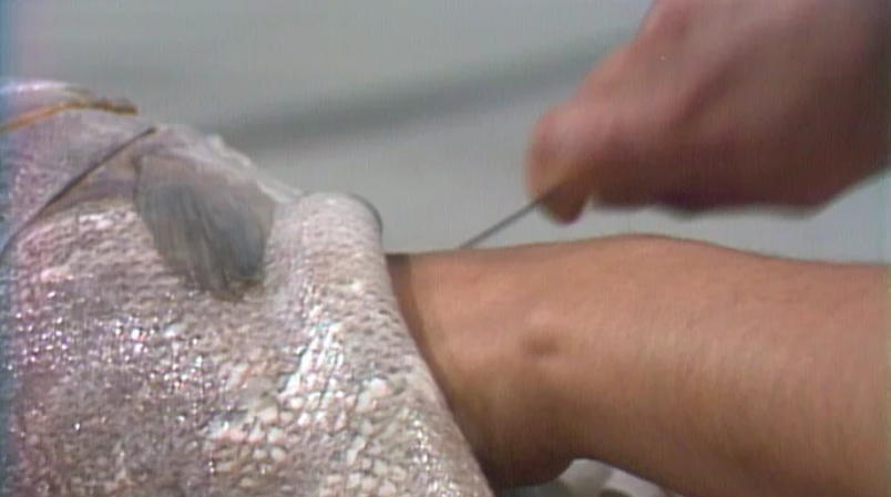 José Gomes conta “O Sapateiro e o Vizinho Rico”