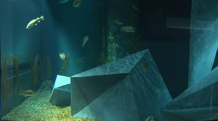 Museu Marítimo de Ílhavo I