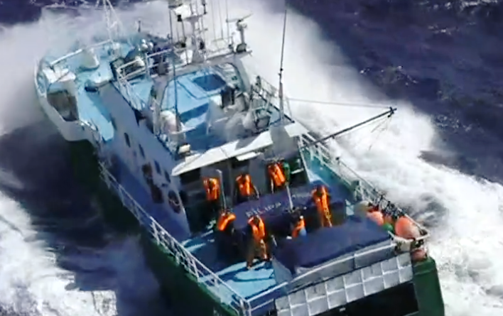 Pescador atacado por tubarão azul