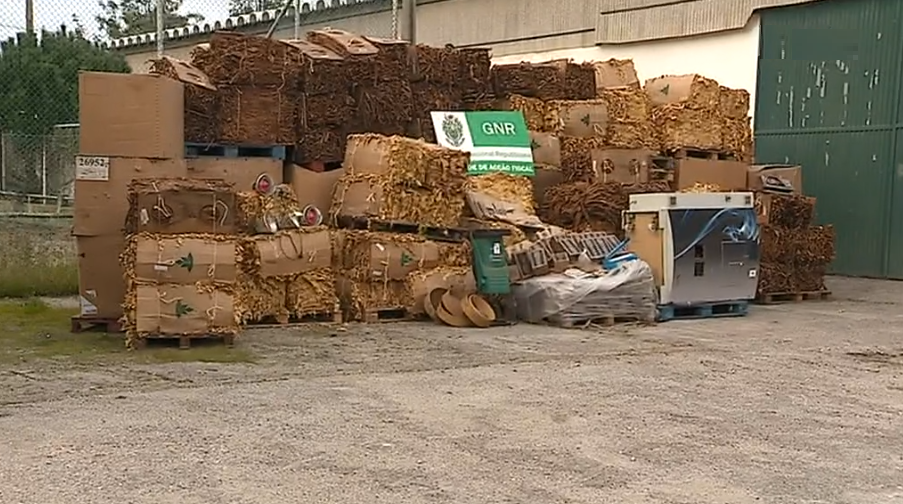 Apreensão de tabaco
