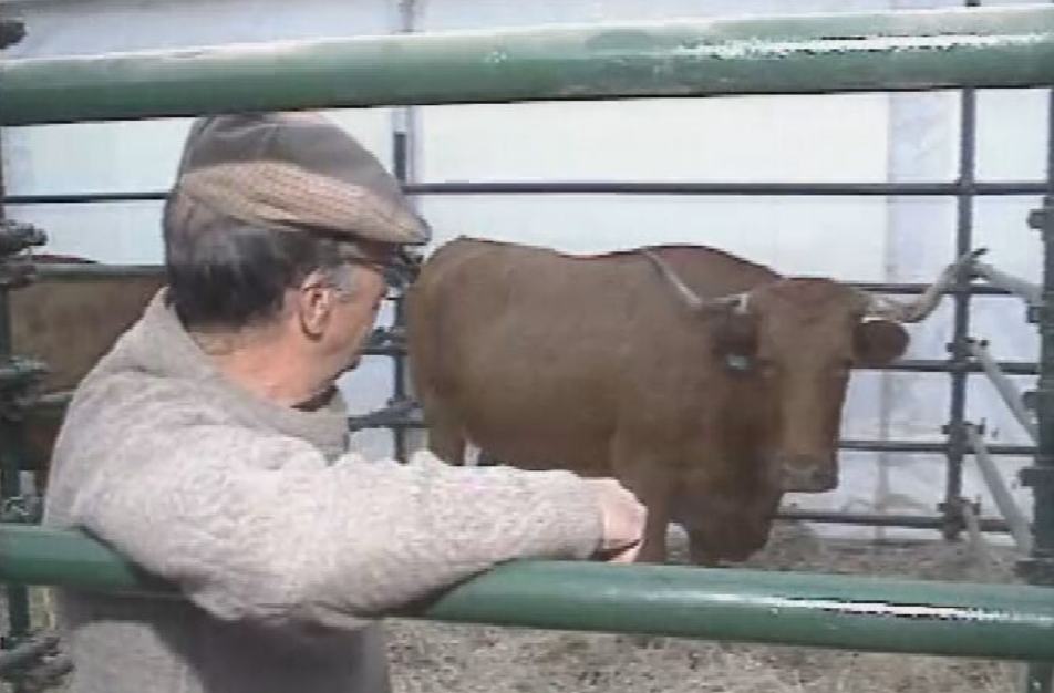 Portugal na Feira de Zafra
