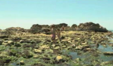 Sabia que: Água e ciência