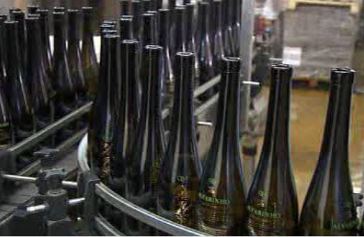 Polémica com o vinho alvarinho