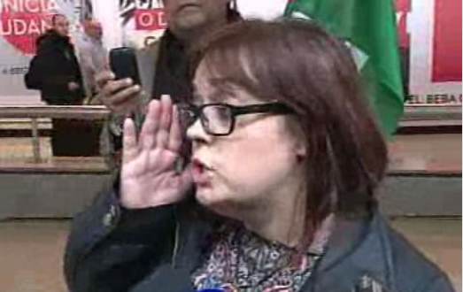 Ativista portuguesa expulsa do Sara Ocidental