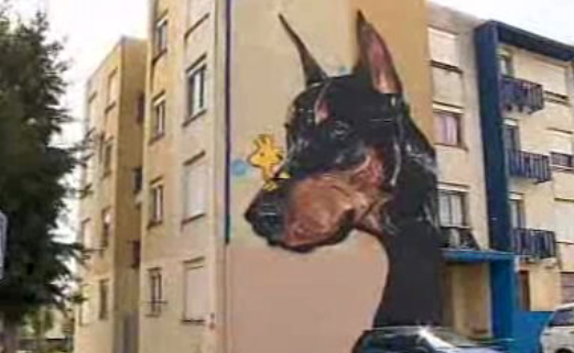 Graffiter Urbano na Quinta do Mocho