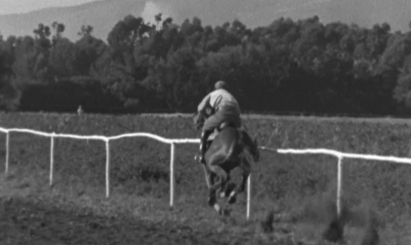 Hipismo: corrida cavalos