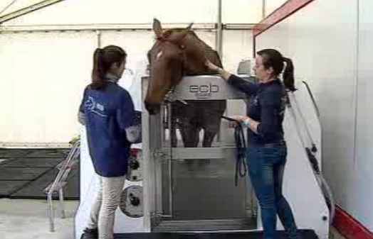 Concurso hípico Vilamoura Atlantic Tour