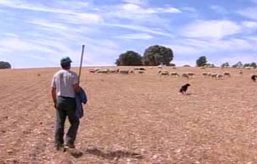 Arte do fabrico de chocalhos