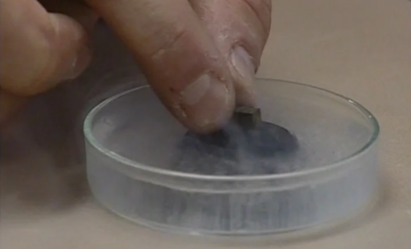 Dia Nacional da Cultura Científica