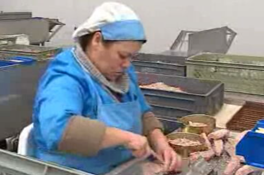 Crise da indústria conserveira em Portugal