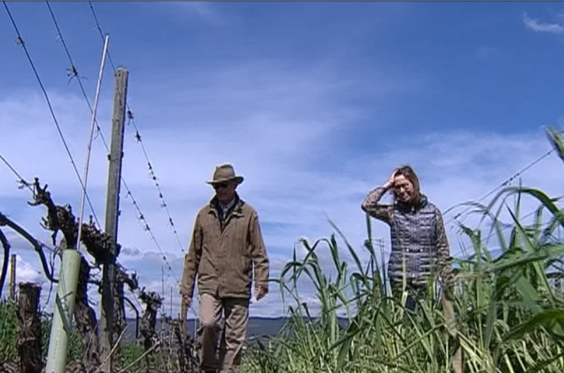 Melhor Vinho Branco Seco do Mundo de 2015