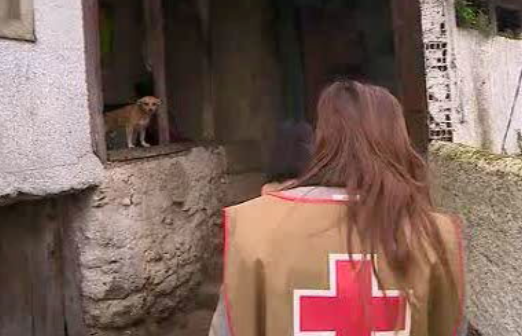 Alerta da Cruz Vermelha