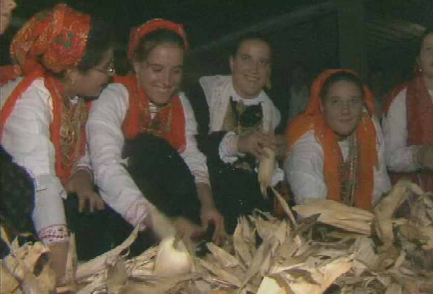 Desfolhada em Pedroso