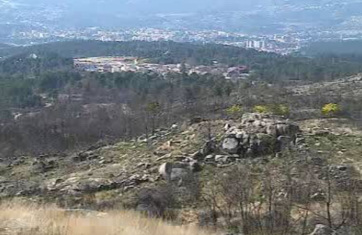 Reflorestação em Vila Real