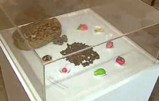 Museu dos Frutos Secos