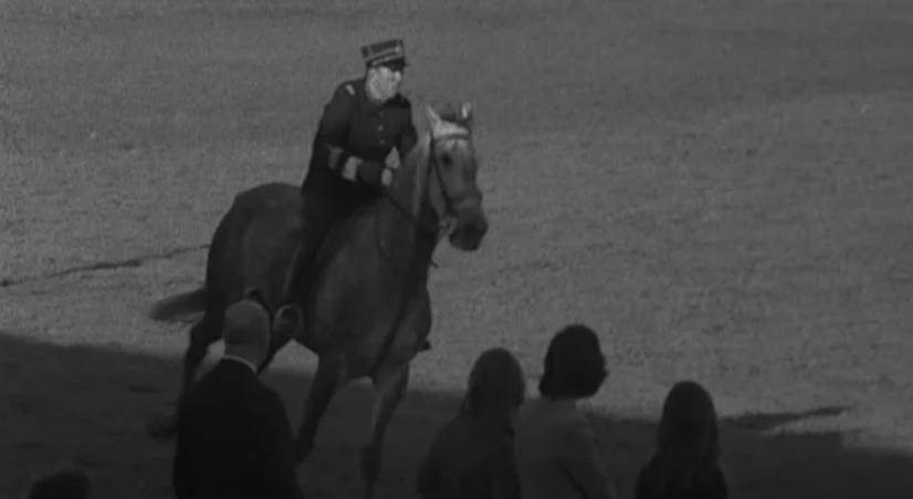 Hipismo: Campeonato de Portugal de Obstáculos