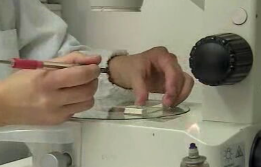 Bolsas à investigação em Portugal