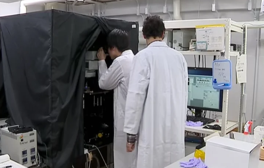 Portugueses no Japão