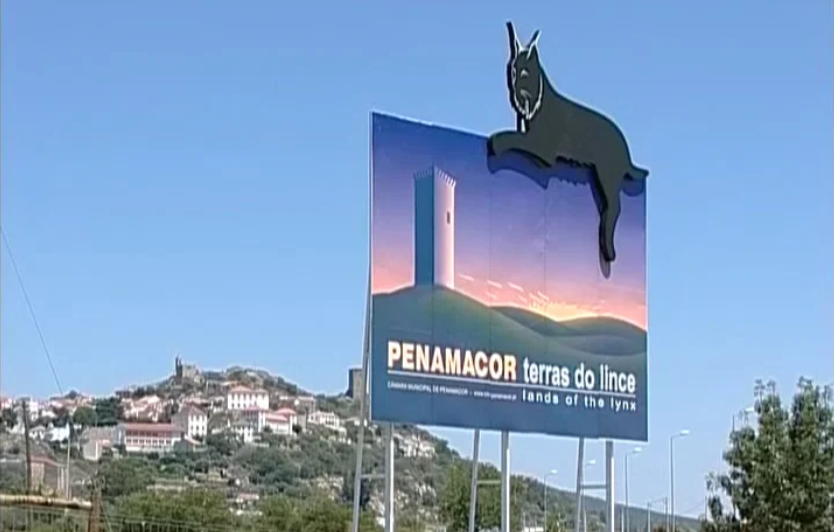 Proteção ao Lince Ibérico pode estar em risco