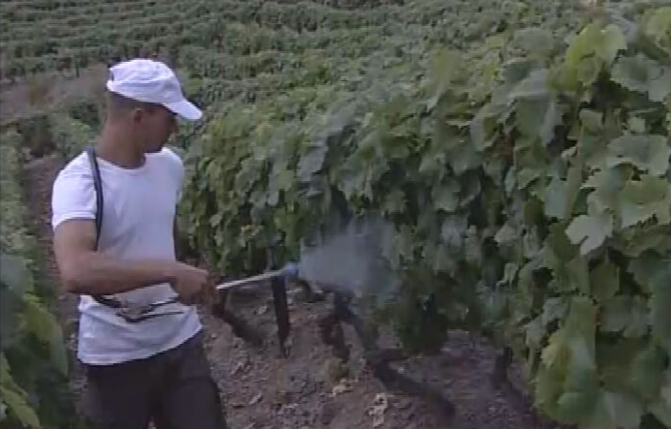 Sistema de avisos contra as infestantes agrícolas