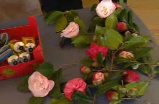 Cidade das Camélias no Porto