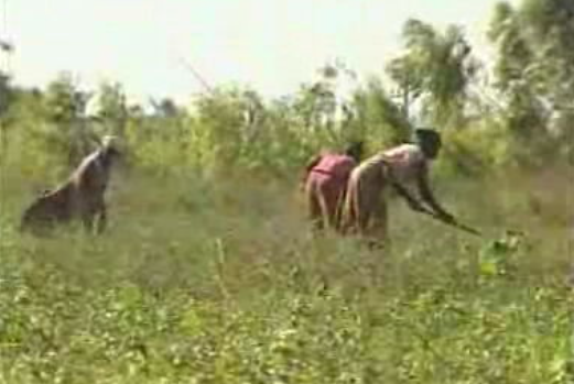 Negócios em Moçambique