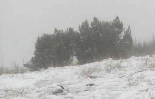 Neve na Ilha da Madeira
