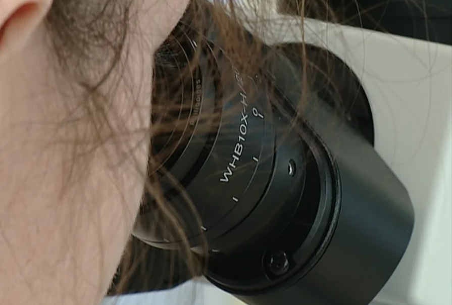 Células cancerígenas 3D