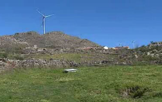 Cadávares de ovelhas por recolher na Bendada