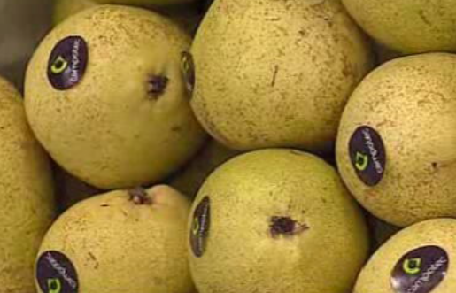 Promover a exportação de produtos portugueses