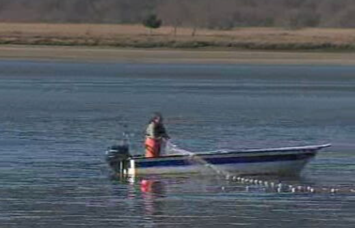 Pesca da lampreia em Portugal