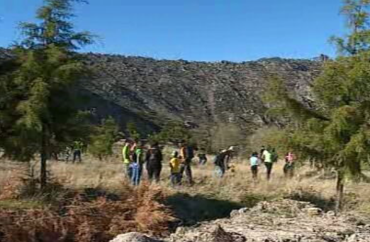 Reflorestação da Serra da Gardunha