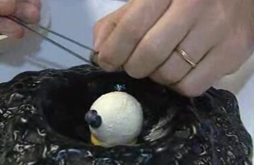 6ª Edição da Rota das Estrelas na Madeira