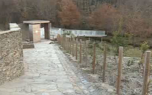 Arte rupestre em Tondela