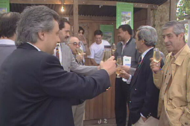 Festa do Vinho Verde