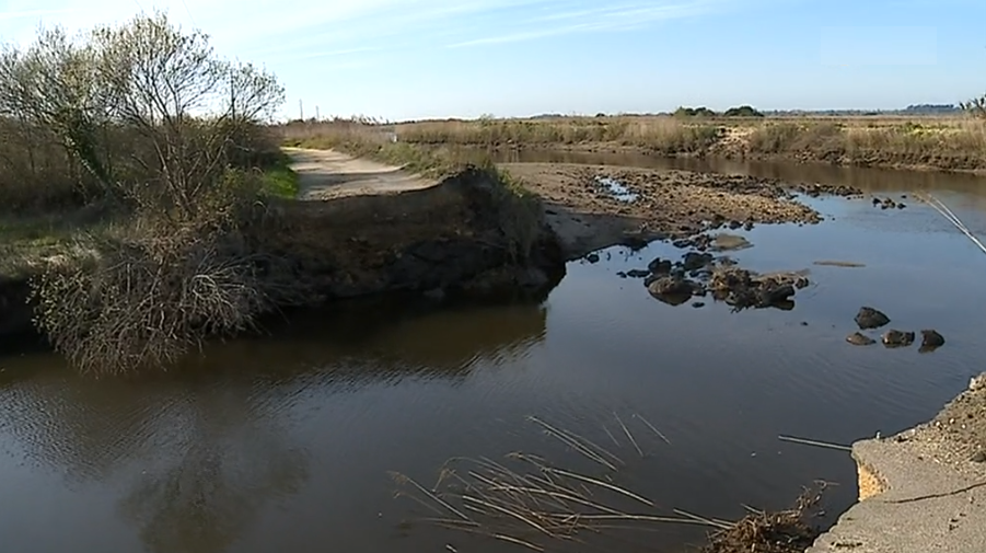 Prejuízos na agricultura causados pelo mau tempo II