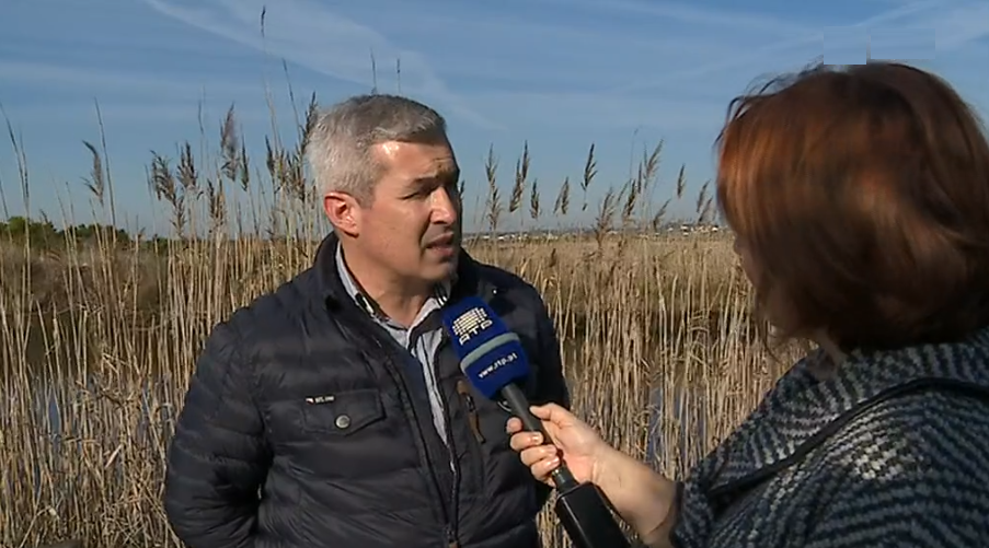 Prejuízos na agricultura causados pelo mau tempo I
