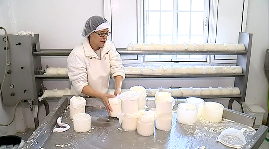 Latifúndio da Herdade do Escrivão I