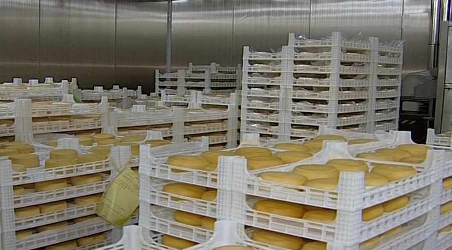 Queijo contaminado em Idanha-a-Nova