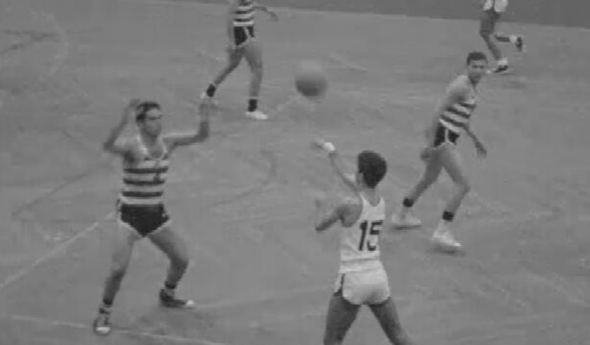 Basquetebol: CIF vs Sporting