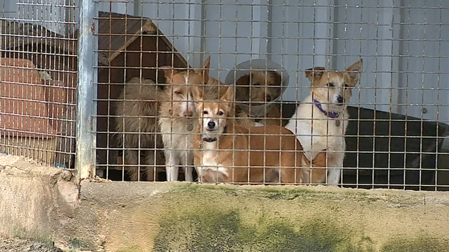 Associação “Bianca”