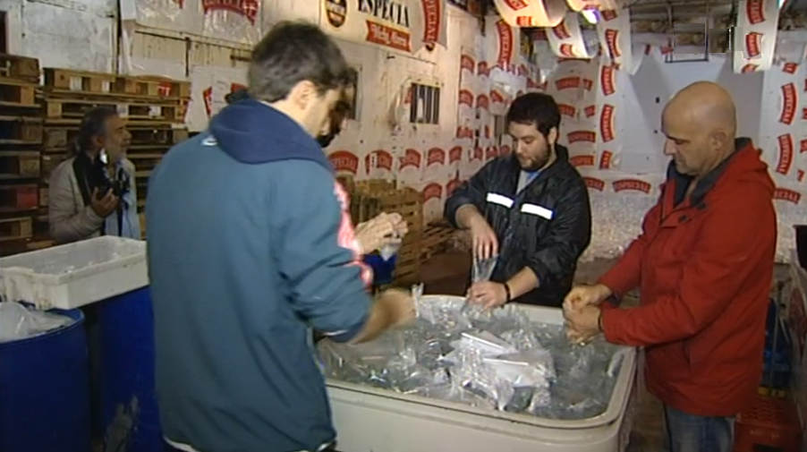 Preparação da “Batalha das Limas”