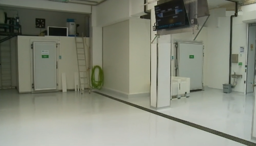 Obras de ampliação na lota da Madalena