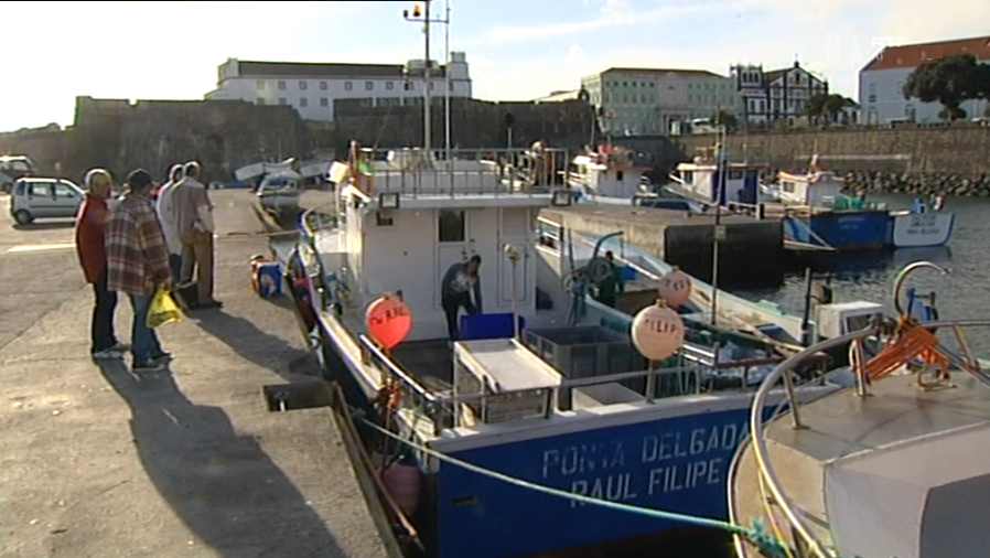 Pescadores de São Miguel querem suspensão da captura do Goraz