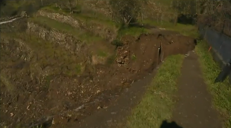 Destruição de vinha no Douro